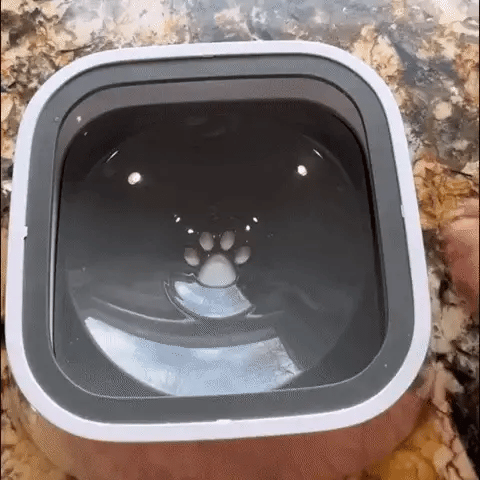 Splash-Proof Water Bowl